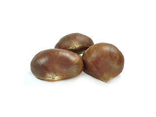 Image showing chestnuts 