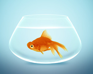 Image showing goldfish in small bowl