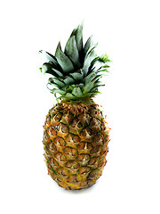 Image showing Fresh pineapple