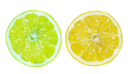 Image showing Fresh slice of Lemon