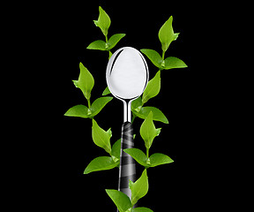 Image showing green leaves around spoon 