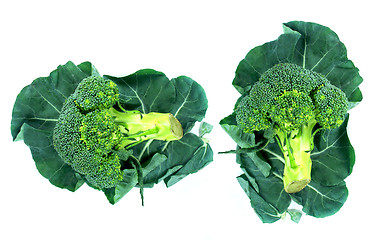 Image showing broccoli and Leaf 