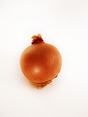 Image showing onion