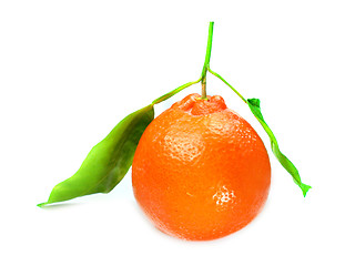 Image showing Fresh orange