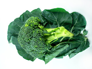 Image showing broccoli and Leaf 