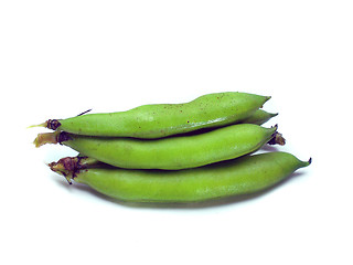 Image showing bunch of broad beans 