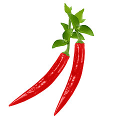 Image showing red hot chili pepper