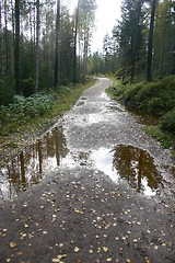 Image showing after the rain