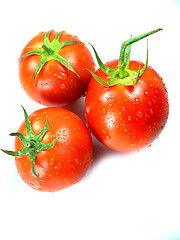 Image showing Fresh Red tomatoes