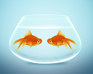 Image showing Two goldfish  falling in love