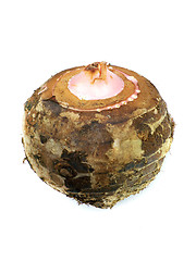 Image showing Taro Root Vegetable