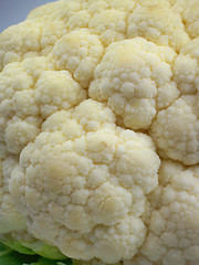 Image showing Cauliflower