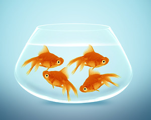 Image showing goldfish in small bowl