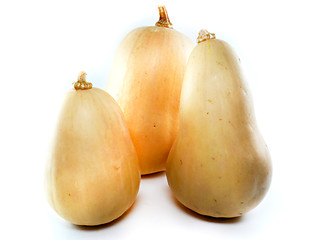 Image showing butternut squash