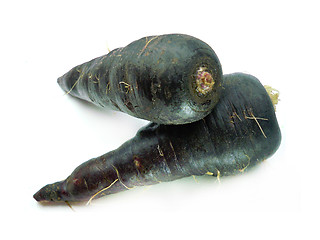 Image showing fresh black carrots