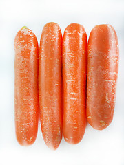 Image showing fresh orange carrot
