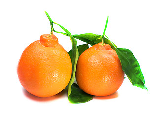 Image showing Fresh orange