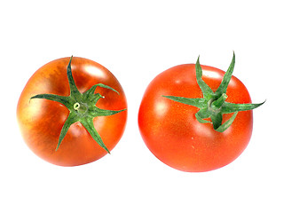 Image showing Fresh Red tomatoes