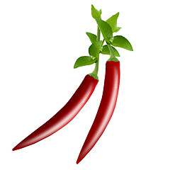 Image showing red hot chili pepper