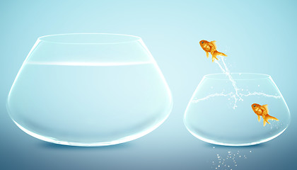 Image showing goldfish  jumping to Big bowl