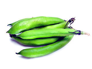Image showing bunch of broad beans 