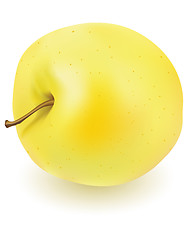 Image showing Fresh yellow apple