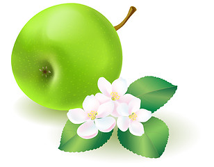 Image showing Green apple with leaf and flowers