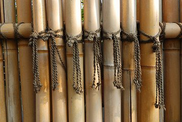 Image showing bamboo fence
