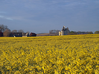 Image showing Motte castle at sunrise from a rapeseed field in spring, Usseau 