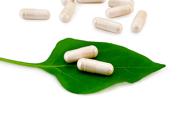 Image showing Capsules beige on green leaf