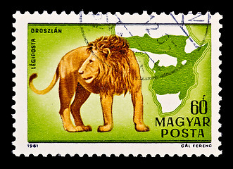 Image showing Mark with a picture of a lion