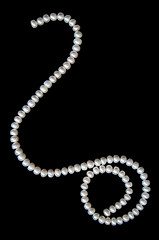 Image showing White pearls on the black velvet 