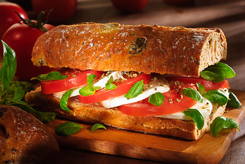 Image showing tomato and mozzarella sandwich