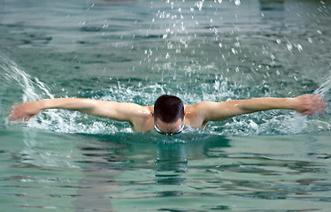 Image showing swimmer