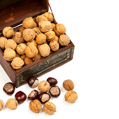 Image showing chest with walnuts 