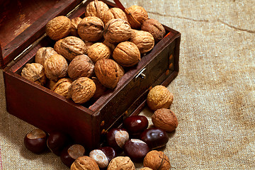 Image showing chest with walnuts 