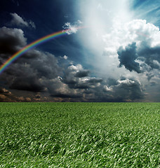Image showing green grass and blue cloudly sky with rainbow