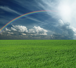 Image showing green grass and blue cloudly sky with rainbow