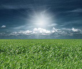 Image showing green grass and blue cloudly sky