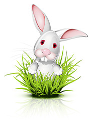 Image showing Little rabbit on grass