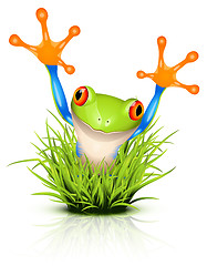 Image showing Little tree frog on grass