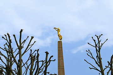 Image showing Golden Woman 