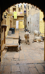 Image showing city view of Jaisalmer