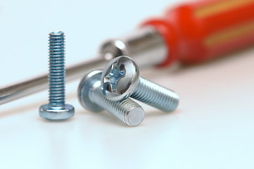 Image showing screws