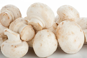 Image showing White mushrooms