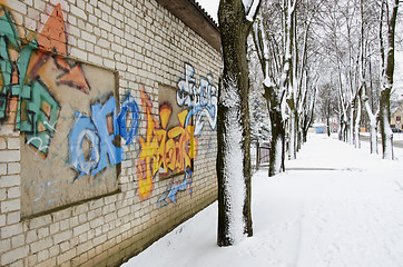 Image showing Walls graffiti and snowy lime tree trunk in winter 