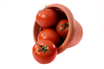 Image showing Some tomatoes in plastic pail