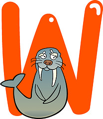 Image showing W for walrus