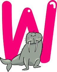 Image showing W for walrus