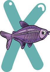Image showing X for x-ray fish